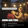 image:imageKasa Outdoor Smart Dimmer Plug IP64 Plug in Dimmer for Outdoor String Lights Compatible with Alexa Google Assistant amp SmartThings Long WiFi Range 24Ghz No Hub Required ETL CertifiedKP4051Socket New Version