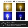 image:imageKasa Smart Light Bulbs 1000 Lumens High Brightness 16M Color Changing Dimmable Smart WiFi Light Bulb Compatible with Alexa and Google Home A19 24GHz WiFi only No Hub Required KL1354Pack4 Pack