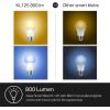 image:imageKasa Smart Light Bulbs 1000 Lumens High Brightness 16M Color Changing Dimmable Smart WiFi Light Bulb Compatible with Alexa and Google Home A19 24GHz WiFi only No Hub Required KL1354Pack4 Pack