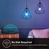 image:imageNew Kasa Smart Bulb Full Color Changing Dimmable Smart WiFi Light Bulb Compatible with Alexa and Google Home A19 9W 800 Lumens24Ghz only No Hub Required 1Pack KL125 Multicolor800 Lumens  1Pack